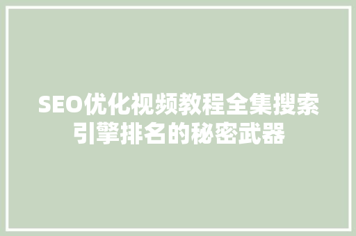 SEO优化视频教程全集搜索引擎排名的秘密武器