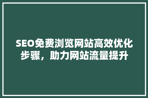SEO免费浏览网站高效优化步骤，助力网站流量提升