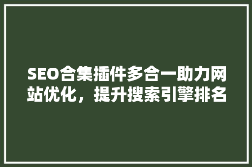 SEO合集插件多合一助力网站优化，提升搜索引擎排名