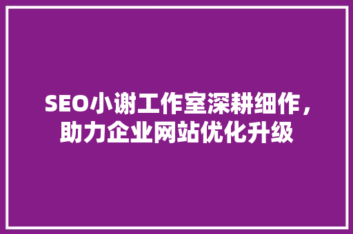 SEO小谢工作室深耕细作，助力企业网站优化升级