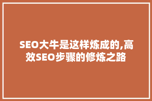 SEO大牛是这样炼成的,高效SEO步骤的修炼之路