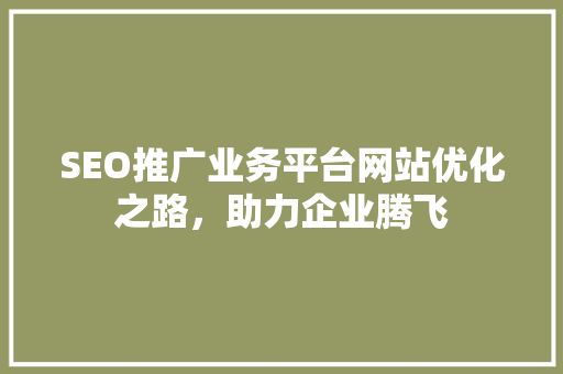 SEO推广业务平台网站优化之路，助力企业腾飞