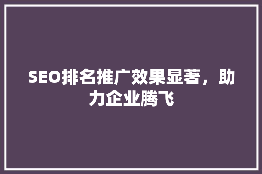 SEO排名推广效果显著，助力企业腾飞