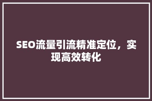 SEO流量引流精准定位，实现高效转化