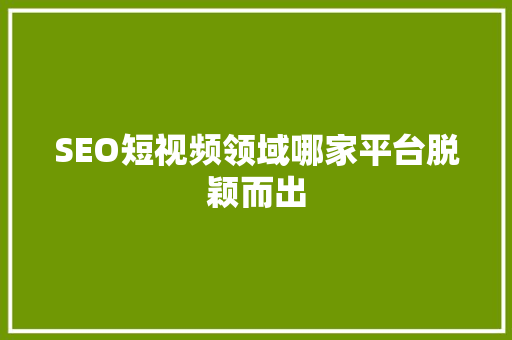 SEO短视频领域哪家平台脱颖而出