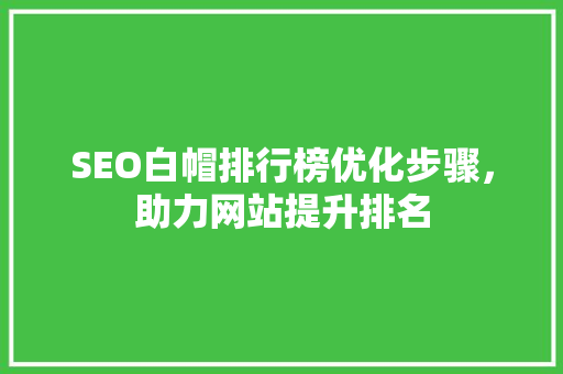 SEO白帽排行榜优化步骤，助力网站提升排名