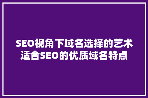 SEO视角下域名选择的艺术适合SEO的优质域名特点