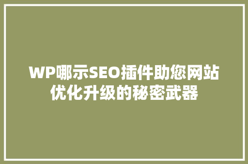 WP哪示SEO插件助您网站优化升级的秘密武器
