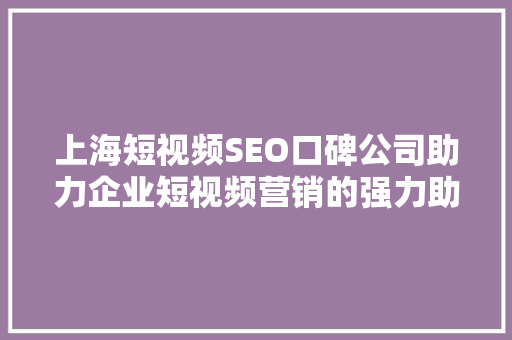 上海短视频SEO口碑公司助力企业短视频营销的强力助手