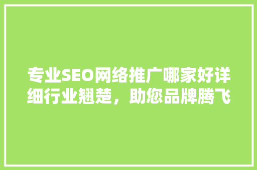 专业SEO网络推广哪家好详细行业翘楚，助您品牌腾飞