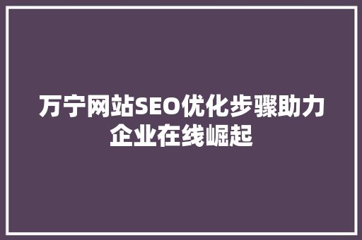 万宁网站SEO优化步骤助力企业在线崛起