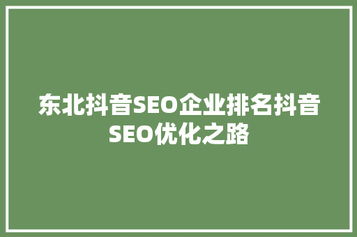 东北抖音SEO企业排名抖音SEO优化之路