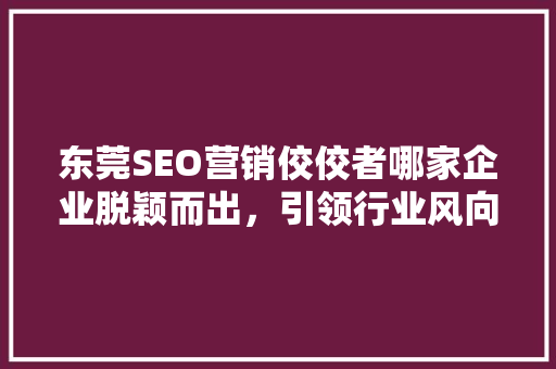 东莞SEO营销佼佼者哪家企业脱颖而出，引领行业风向标