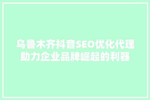 乌鲁木齐抖音SEO优化代理助力企业品牌崛起的利器