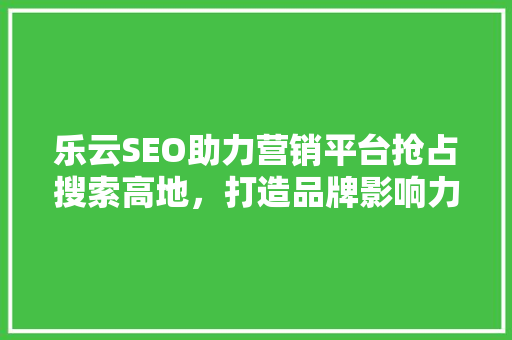 乐云SEO助力营销平台抢占搜索高地，打造品牌影响力