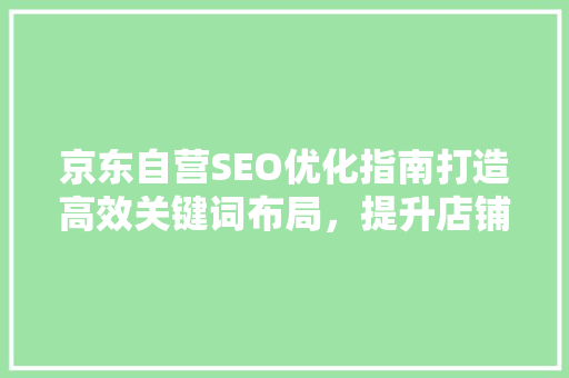 京东自营SEO优化指南打造高效关键词布局，提升店铺流量与转化