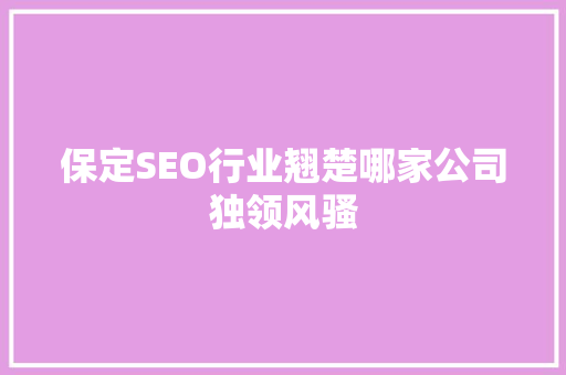 保定SEO行业翘楚哪家公司独领风骚