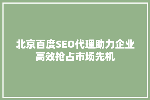 北京百度SEO代理助力企业高效抢占市场先机
