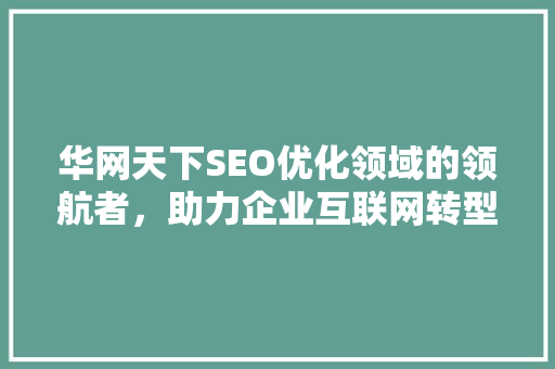 华网天下SEO优化领域的领航者，助力企业互联网转型