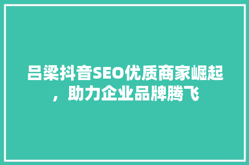 吕梁抖音SEO优质商家崛起，助力企业品牌腾飞