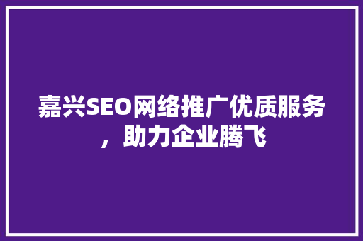 嘉兴SEO网络推广优质服务，助力企业腾飞