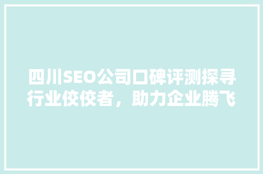 四川SEO公司口碑评测探寻行业佼佼者，助力企业腾飞