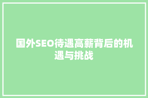 国外SEO待遇高薪背后的机遇与挑战