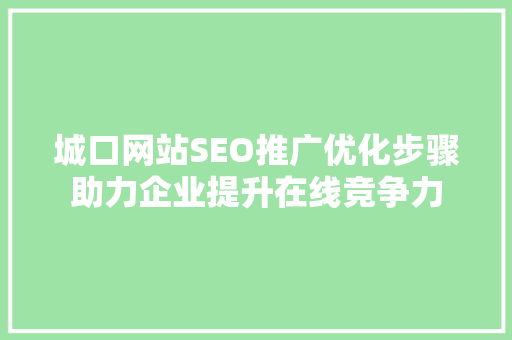 城口网站SEO推广优化步骤助力企业提升在线竞争力