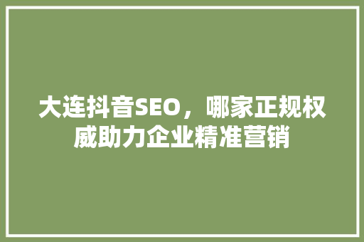 大连抖音SEO，哪家正规权威助力企业精准营销