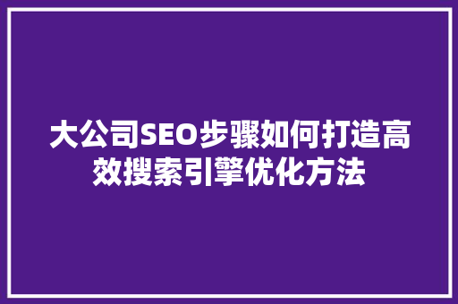 大公司SEO步骤如何打造高效搜索引擎优化方法