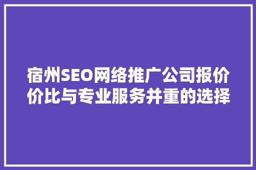 宿州SEO网络推广公司报价价比与专业服务并重的选择之路