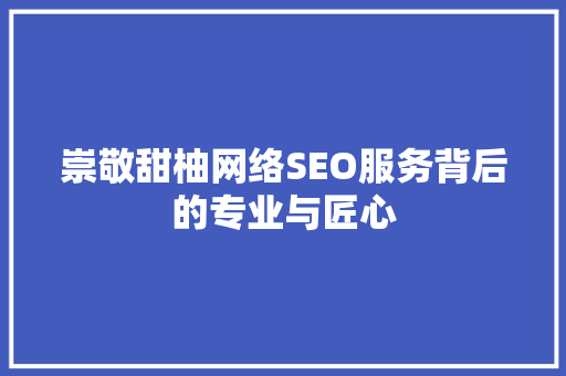 崇敬甜柚网络SEO服务背后的专业与匠心