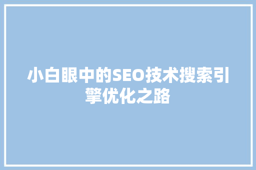 小白眼中的SEO技术搜索引擎优化之路