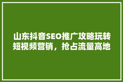 山东抖音SEO推广攻略玩转短视频营销，抢占流量高地