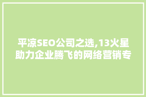 平凉SEO公司之选,13火星助力企业腾飞的网络营销专家
