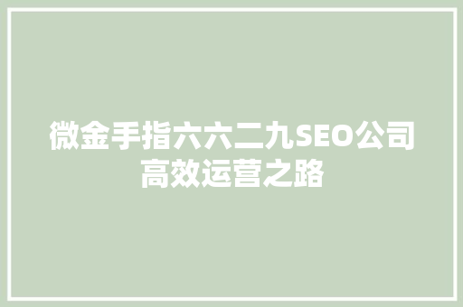 微金手指六六二九SEO公司高效运营之路