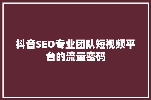 抖音SEO专业团队短视频平台的流量密码