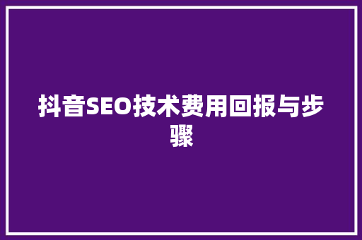 抖音SEO技术费用回报与步骤
