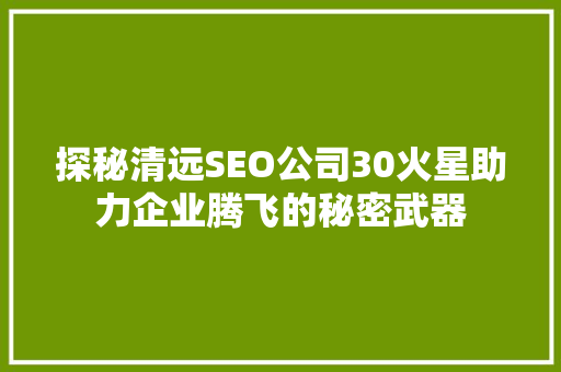 探秘清远SEO公司30火星助力企业腾飞的秘密武器