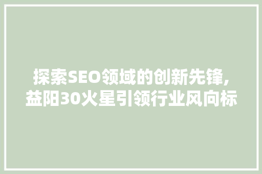 探索SEO领域的创新先锋,益阳30火星引领行业风向标