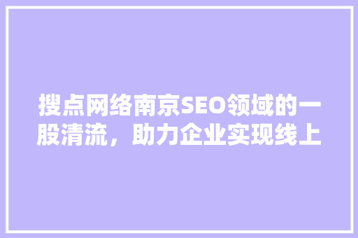 搜点网络南京SEO领域的一股清流，助力企业实现线上增长
