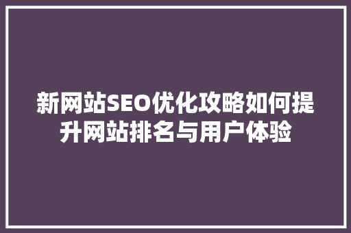 新网站SEO优化攻略如何提升网站排名与用户体验