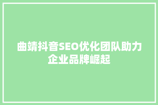 曲靖抖音SEO优化团队助力企业品牌崛起