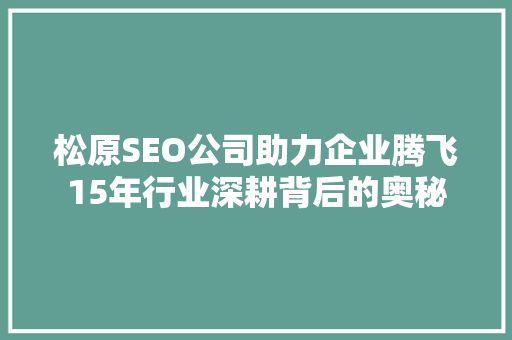 松原SEO公司助力企业腾飞15年行业深耕背后的奥秘