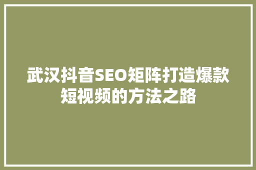 武汉抖音SEO矩阵打造爆款短视频的方法之路