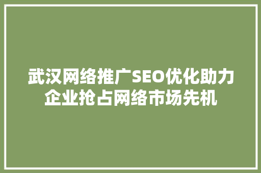 武汉网络推广SEO优化助力企业抢占网络市场先机
