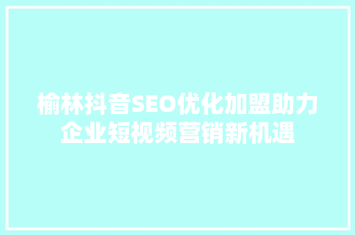 榆林抖音SEO优化加盟助力企业短视频营销新机遇