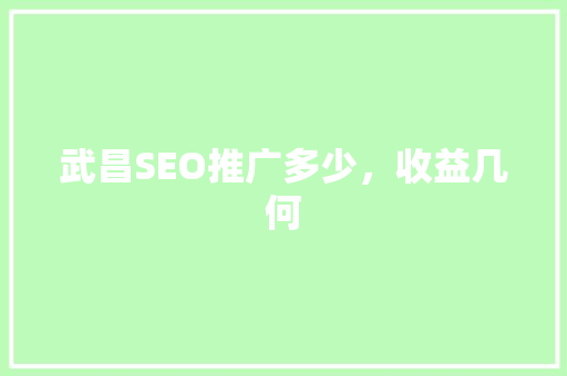 武昌SEO推广多少，收益几何