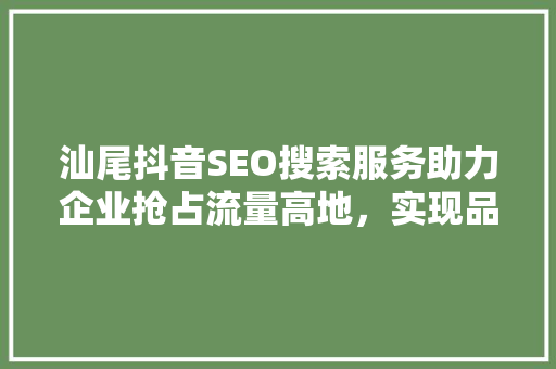 汕尾抖音SEO搜索服务助力企业抢占流量高地，实现品牌飞跃