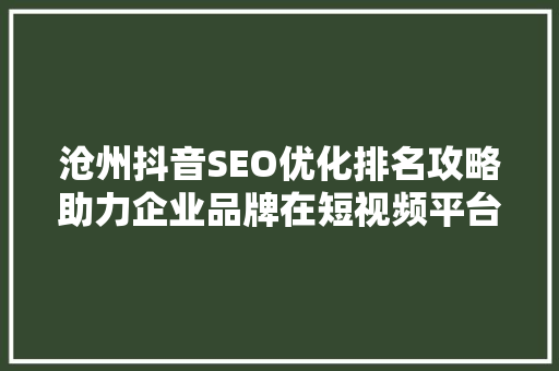 沧州抖音SEO优化排名攻略助力企业品牌在短视频平台脱颖而出